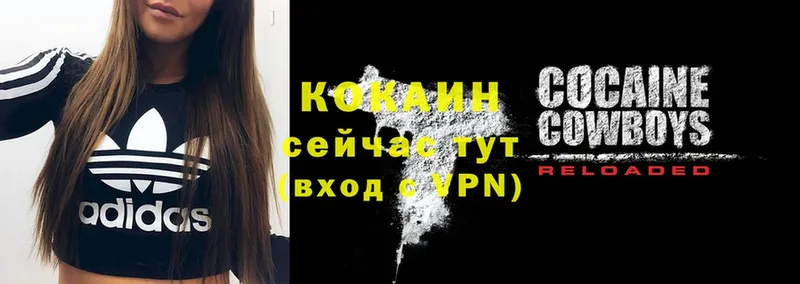 площадка формула  Ачхой-Мартан  Cocaine VHQ 