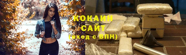 крисы Белокуриха