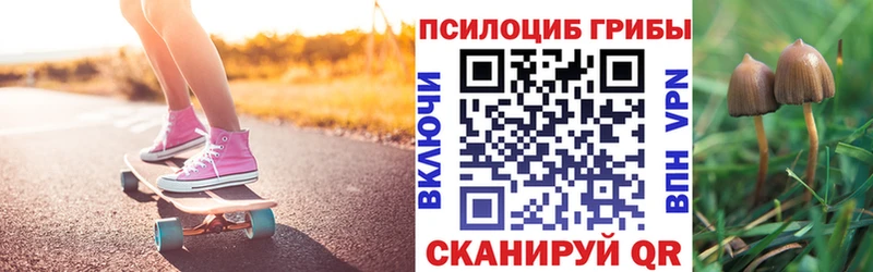 где купить наркоту  Ачхой-Мартан  Псилоцибиновые грибы мухоморы 